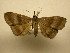  ( - 11-MISC-844)  @12 [ ] No Rights Reserved (2011) JB Sullivan Research Collection of J. B. Sullivan
