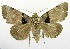  ( - USNM ENT 00800108)  @13 [ ] Unspecified (default): All Rights Reserved  Unspecified Unspecified
