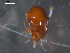  ( - 08MIONT-0215)  @13 [ ] CreativeCommons - Attribution (2010) Unspecified Centre for Biodiversity Genomics