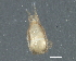  ( - 09DPMIT-0180)  @12 [ ] CreativeCommons - Attribution (2012) CBG Photography Group Centre for Biodiversity Genomics