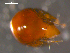  ( - 08MIONT-0275)  @12 [ ] CreativeCommons - Attribution (2010) Unspecified Centre for Biodiversity Genomics