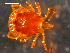  ( - 08MIONT-0377)  @14 [ ] CreativeCommons - Attribution (2010) Unspecified Centre for Biodiversity Genomics