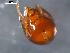  ( - 08MIONT-0125)  @12 [ ] CreativeCommons - Attribution (2010) Unspecified Centre for Biodiversity Genomics