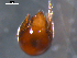  ( - 08MIONT-0125)  @12 [ ] CreativeCommons - Attribution (2010) Unspecified Centre for Biodiversity Genomics
