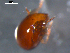  ( - 08MIONT-0126)  @12 [ ] CreativeCommons - Attribution (2010) Unspecified Centre for Biodiversity Genomics