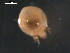  ( - 08MIONT-0144)  @12 [ ] CreativeCommons - Attribution (2010) Unspecified Centre for Biodiversity Genomics