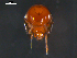  ( - 08MIONT-0145)  @13 [ ] CreativeCommons - Attribution (2010) Unspecified Centre for Biodiversity Genomics