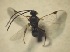  ( - DPM11)  @12 [ ] Copyright (2013) PHCDBS Paul Hebert Centre for DNA Barcoding and Biodiversity Studies