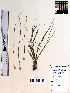  ( - KSR-0008)  @11 [ ] Copyright (2015) The M. S. University of Baroda, Vadodara The M. S. University of Baroda, Vadodara