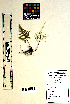  ( - KSR-0016)  @11 [ ] Copyright (2015) The M. S. University of Baroda, Vadodara The M. S. University of Baroda, Vadodara