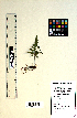  ( - KSR-0017)  @11 [ ] Copyright (2015) The M. S. University of Baroda, Vadodara The M. S. University of Baroda, Vadodara