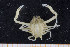  ( - UMBergen_MBOWA_brach111)  @14 [ ] CreativeCommons - Attribution Non-Commercial Share-Alike (2013) Natural History Collections, University of Bergen University of Bergen, Natural History Collections