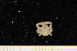  ( - UMBergen_MBOWA_brach279)  @14 [ ] CreativeCommons - Attribution Non-Commercial Share-Alike (2013) Unspecified University of Bergen, Natural History Collections