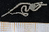  ( - UMBergen_MBOWA_ophiu59)  @12 [ ] CreativeCommons - Attribution Non-Commercial Share-Alike (2013) Natural History Collections, University of Bergen University of Bergen, Natural History Collections