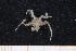  ( - UMBergen_MBOWA_ophiu72)  @11 [ ] CreativeCommons - Attribution Non-Commercial Share-Alike (2013) Natural History Collections, University of Bergen University of Bergen, Natural History Collections