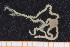  ( - UMBergen_MBOWA_ophiu81)  @13 [ ] CreativeCommons - Attribution Non-Commercial Share-Alike (2013) Natural History Collections, University of Bergen University of Bergen, Natural History Collections