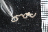  ( - ZMBN_84606)  @12 [ ] CreativeCommons - Attribution Non-Commercial Share-Alike (2014) University of Bergen University of Bergen, Natural History Collections