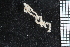  ( - ZMBN_84606)  @12 [ ] CreativeCommons - Attribution Non-Commercial Share-Alike (2014) University of Bergen University of Bergen, Natural History Collections