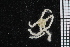 ( - ZMBN_84642)  @11 [ ] CreativeCommons - Attribution Non-Commercial Share-Alike (2014) University of Bergen University of Bergen, Natural History Collections