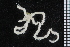  ( - ZMBN_84644)  @11 [ ] CreativeCommons - Attribution Non-Commercial Share-Alike (2014) University of Bergen University of Bergen, Natural History Collections