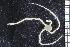  ( - ZMBN_84645)  @12 [ ] CreativeCommons - Attribution Non-Commercial Share-Alike (2014) University of Bergen University of Bergen, Natural History Collections
