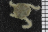  ( - ZMBN_84695)  @11 [ ] CreativeCommons - Attribution Non-Commercial Share-Alike (2014) University of Bergen University of Bergen, Natural History Collections