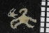  ( - ZMBN_85515)  @11 [ ] CreativeCommons - Attribution Non-Commercial Share-Alike (2014) University of Bergen University of Bergen, Natural History Collections