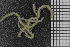  ( - ZMBN_99196)  @11 [ ] CreativeCommons - Attribution Non-Commercial Share-Alike (2014) University of Bergen University of Bergen, Natural History Collections