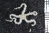 ( - ZMBN_99228)  @13 [ ] CreativeCommons - Attribution Non-Commercial Share-Alike (2014) University of Bergen University of Bergen, Natural History Collections