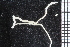  ( - ZMBN_99253)  @11 [ ] CreativeCommons - Attribution Non-Commercial Share-Alike (2014) University of Bergen University of Bergen, Natural History Collections