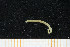  ( - UMBergen_MBOWA_mald100)  @11 [ ] CreativeCommons - Attribution Non-Commercial Share-Alike (2013) Natural History Collections, University of Bergen University of Bergen, Natural History Collections