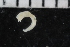  ( - ZMBN_106948)  @11 [ ] CreativeCommons - Attribution Non-Commercial Share-Alike (2016) University of Bergen University of Bergen, Natural History Collections