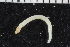  ( - ZMBN_107001)  @11 [ ] CreativeCommons - Attribution Non-Commercial Share-Alike (2016) University of Bergen University of Bergen, Natural History Collections