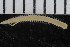  ( - ZMBN_108013)  @11 [ ] CreativeCommons - Attribution Non-Commercial Share-Alike (2017) University of Bergen Natural History Collections