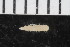  ( - ZMBN_108018)  @11 [ ] CreativeCommons - Attribution Non-Commercial Share-Alike (2017) University of Bergen Natural History Collections