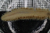  (Aglaophamus sp. 4 - ZMBN_115860)  @11 [ ] CreativeCommons - Attribution Non-Commercial Share-Alike (2017) University of Bergen Natural History Collections