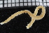  ( - ZMBN_115914)  @11 [ ] CreativeCommons - Attribution Non-Commercial Share-Alike (2017) University of Bergen Natural History Collections