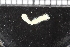  ( - ZMBN_115987)  @11 [ ] CreativeCommons - Attribution Non-Commercial Share-Alike (2017) University of Bergen Natural History Collections