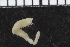  ( - ZMBN_98167)  @11 [ ] CreativeCommons - Attribution Non-Commercial Share-Alike (2015) University of Bergen University of Bergen, Natural History Collections