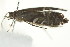  ( - 10MA-0072)  @12 [ ] CreativeCommons - Attribution (2010) CBG Photography Group Centre for Biodiversity Genomics