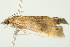  ( - 10MA-0078)  @12 [ ] CreativeCommons - Attribution (2010) CBG Photography Group Centre for Biodiversity Genomics
