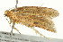  ( - TDWG-0011)  @12 [ ] CreativeCommons - Attribution (2010) CBG Photography Group Centre for Biodiversity Genomics