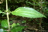  ( - BioBot00464)  @11 [ ] Copyright (2010) Unspecified Unspecified