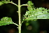  ( - BioBot00464)  @11 [ ] Copyright (2010) Unspecified Unspecified