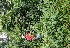  ( - BioBot05078)  @11 [ ] Copyright (2010) Unspecified Unspecified
