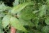  ( - BioBot05078)  @11 [ ] Copyright (2010) Unspecified Unspecified