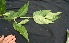  ( - BioBot05078)  @11 [ ] Copyright (2010) Unspecified Unspecified