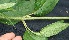  ( - BioBot05078)  @11 [ ] Copyright (2010) Unspecified Unspecified
