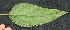  ( - BioBot05078)  @11 [ ] Copyright (2010) Unspecified Unspecified