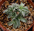  ( - JE-5354)  @11 [ ] Unspecified (default): All Rights Reserved  Unspecified Unspecified